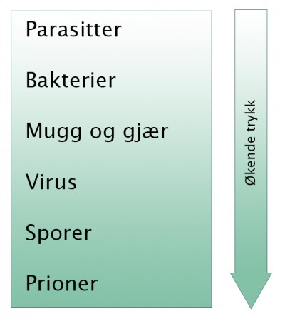 Inaktivering av mikroorganismer med økende trykk