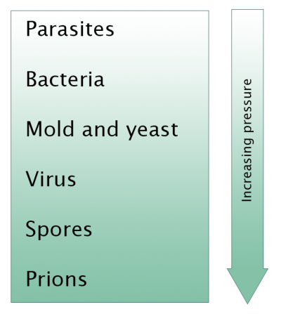 Inactivation of micro organisms with increasing pressure